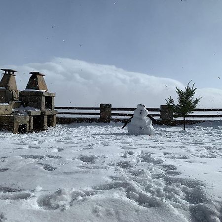 Mountain Chalet Covilhã Kültér fotó